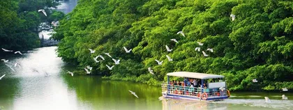 大湾区建设的绿色发展之道