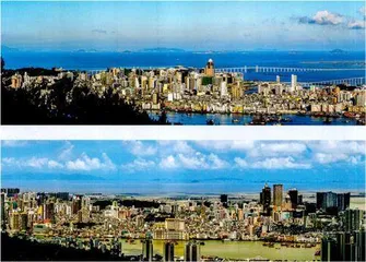潮涌濠江机遇绽放