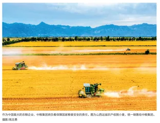 中粮集团：打造“舌尖上”的“一带一路”