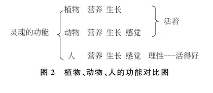 美好生活的意蕴和价值2