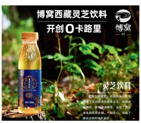 西藏藏芝密农业科技有限公司： 以科技引领灵芝产业，共享雪域高原的纯净与健康