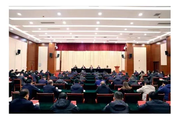 大名县召开全县宣传思想文化暨网络安全和信息化工作会议