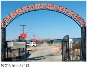 解锁天津市凤芸农作物种植专业合作社的成长“密码”