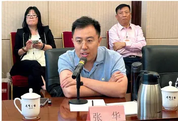 打击“台独”取得历史性成就