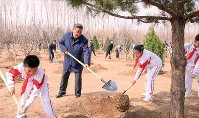 镜头（1）