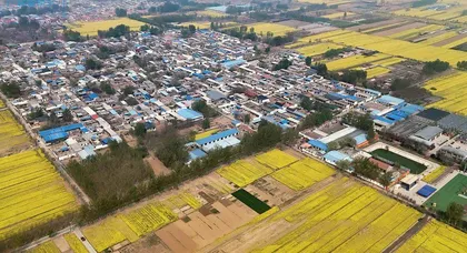 发挥农村党员示范作用引领乡村振兴