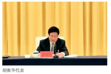 胡衡华代表：迈向四万亿目标与四大战略支柱