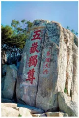 泰安市城市管理局以制度流程推动执法规范化建设