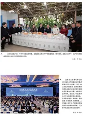 镜头