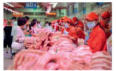 春节前后猪肉价格“坐滑梯”是否源于资本操控？