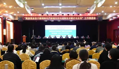 国家重点研发计划项目工作总结推进会在曲周召开