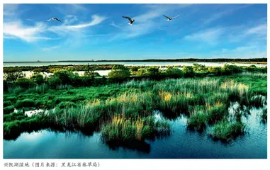 新时代生态文明建设迈向新阶段