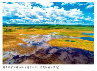 美丽中国从概念到实践的战略构想