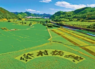 加强全面推进乡村振兴的法治保障