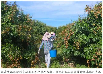 强化党建引领 赋能乡村振兴