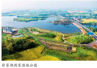 不忘初心，以创新带动地区高质量发展