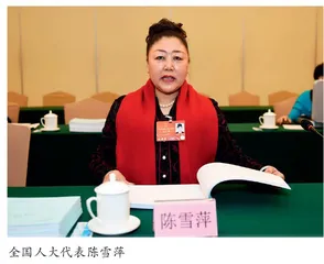 全国人大代表陈雪萍：为解决农民工工资拖欠问题献计献策