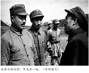 长征中徐向前支持朱德反对分裂