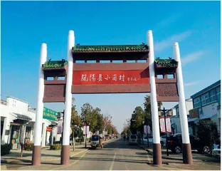 安徽省长王清宪调研时强调：扎实推进“两强一增”行动 精心抓好春季农业生产