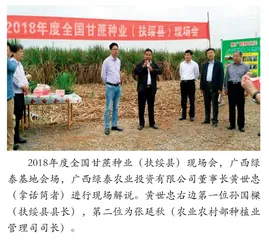 做好甘蔗良种繁育，为“双高”基地提供优质种源