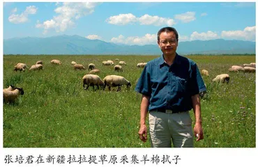 科技兴农——鸡传染性鼻炎的创新与突破