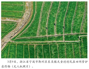 稳就业、粮食与能源安全