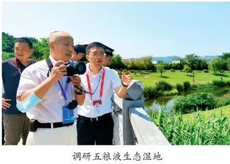 五粮液：生态优先  做强主业