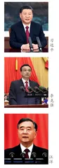 国内 | 国际
