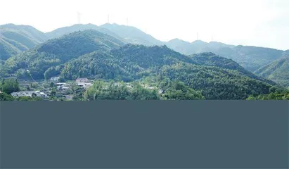 走进“红色名村”