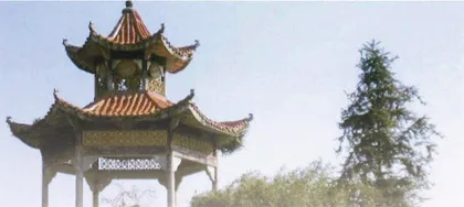 王树亚：牺牲在苏区鲜为人知的红军师长