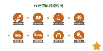 百果园:破解水果连锁的行业难题1