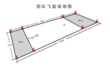 飞盘:跟狗狗“抢”玩具的乐趣1
