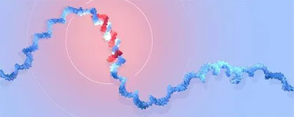微小RNA：小小的基因调控者