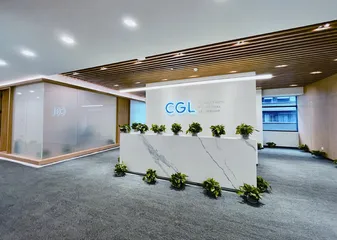 CGL:一个自组织的样本1