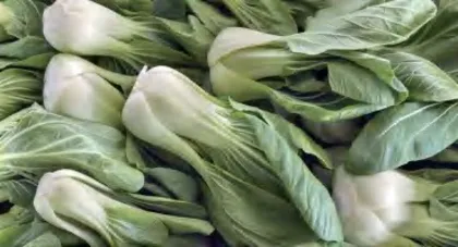 90后的焦虑,被菜市场治愈了2