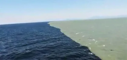 神秘的海洋奇观4