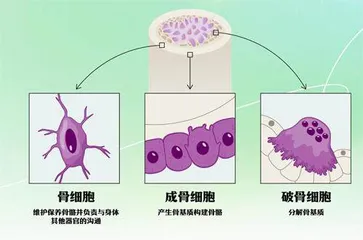 博物馆“下凡”