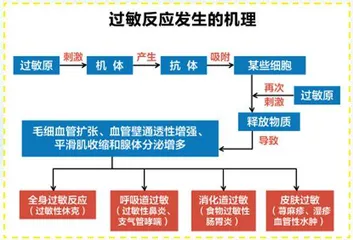 过敏之源3