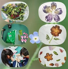 植物拓染:来自大自然的画笔1