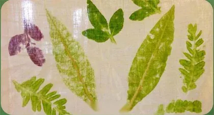 植物拓染:来自大自然的画笔2