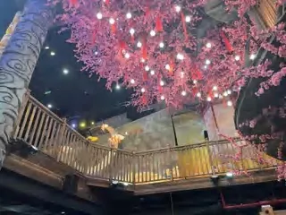 美食广场卷土重来2