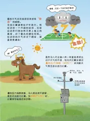 小诸葛漫“话”天气之气象与体育2
