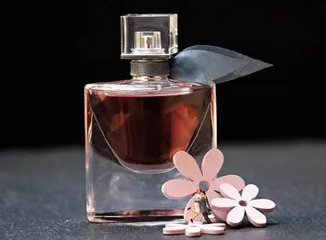 真假玫瑰4