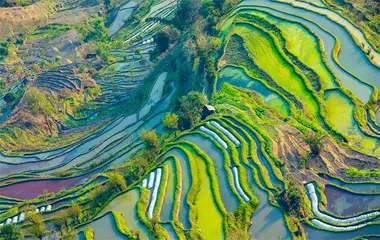 红河哈尼梯田:青梯瑶圃天地和1
