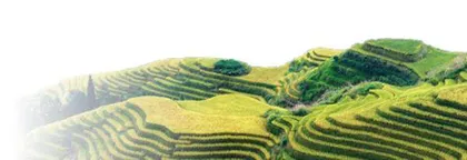 红河哈尼梯田:青梯瑶圃天地和2