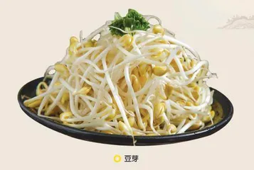 古人的饮食智慧:丰富的大豆世界1