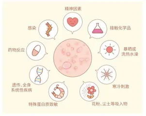 谣言粉碎机2