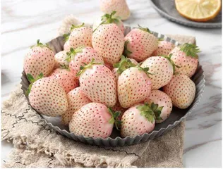 谣言粉碎机3