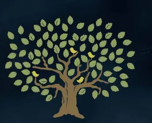 昨天,今天,明天1