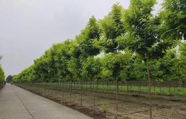 保护水环境,从节约用纸开始2
